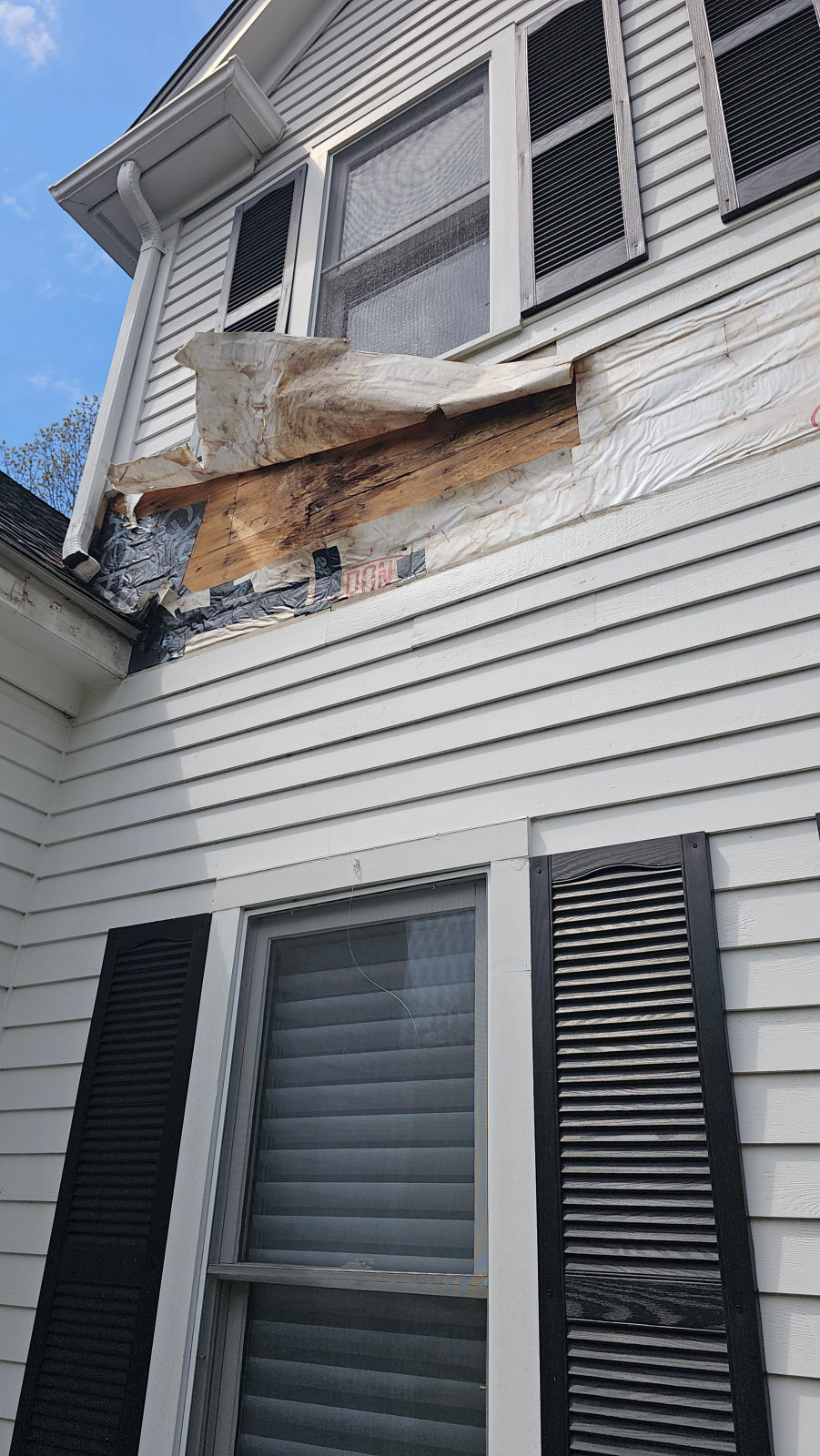 Close-up of rotted fascia board and Tyvek wrap during repair — Weston, MA